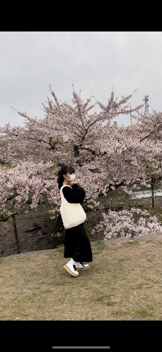 _omoc__'s tweet photo. 五稜郭の桜 🌸 https://t.co/QnQC95FUvs