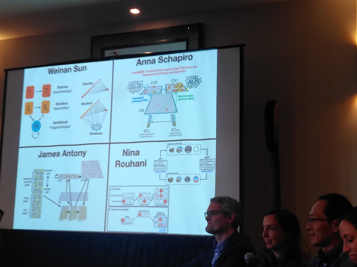 Deborah Talmi tweet media