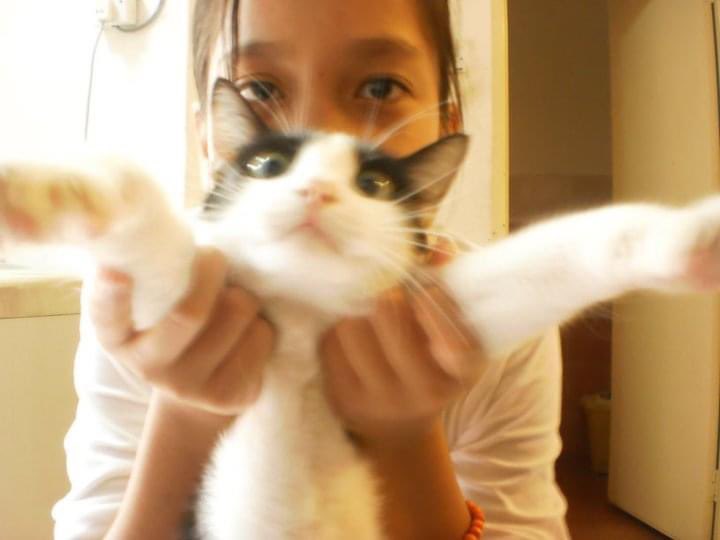 nuurnana's tweet photo. rest well, sayang adik 🤍🤍🤍 
16 may 2008 - 29 april 2023 https://t.co/EmVSvLvJYe