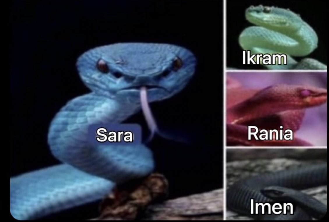 TweetsZa1's tweet photo. طاڤيهم😂 https://t.co/lB5FIbA5bt
