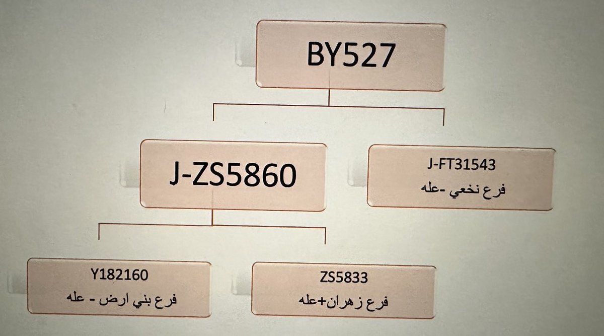 esouth65's tweet photo. @_1200V @T__Dahil لا وجود لزهران ولا للأزد في المكون الأددي FGC4415 وتكتل الأزد في ديارهم التاريخية عمان وسراة الأزد في التحور ZS640 https://t.co/F8JQHLL2lq