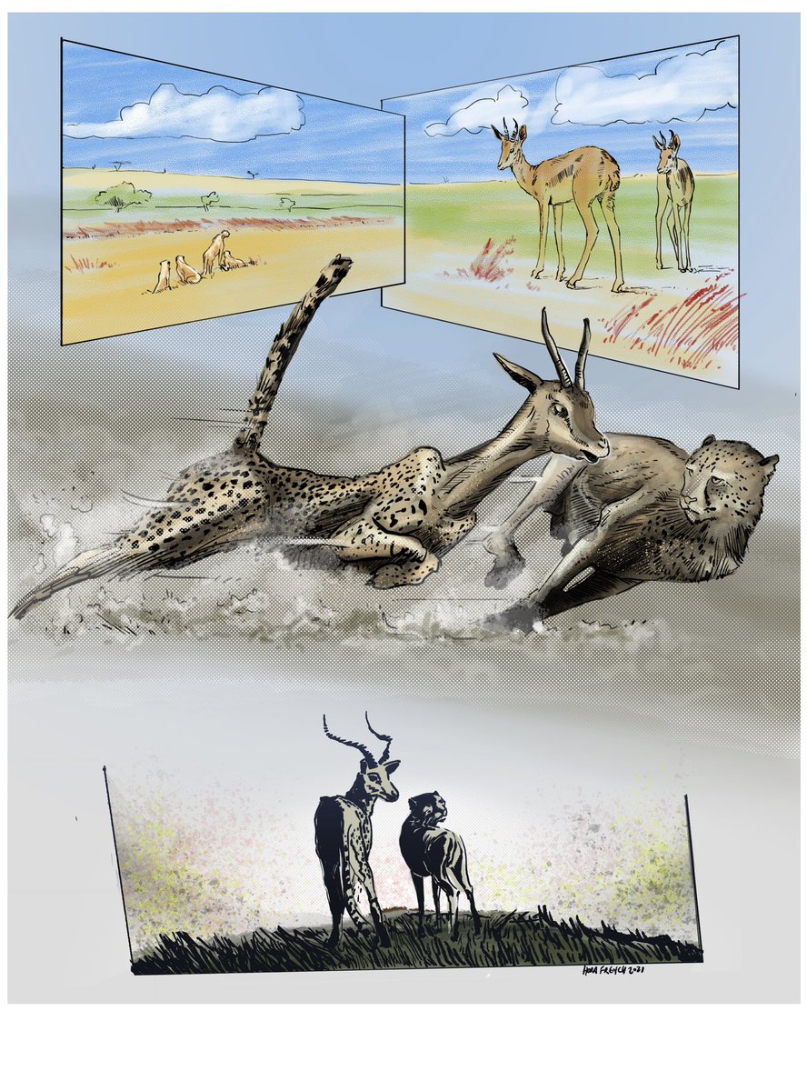 Mixing hunter and prey makes the hunting a bit confused .. #deer #cheetah #animalario #hunterprey