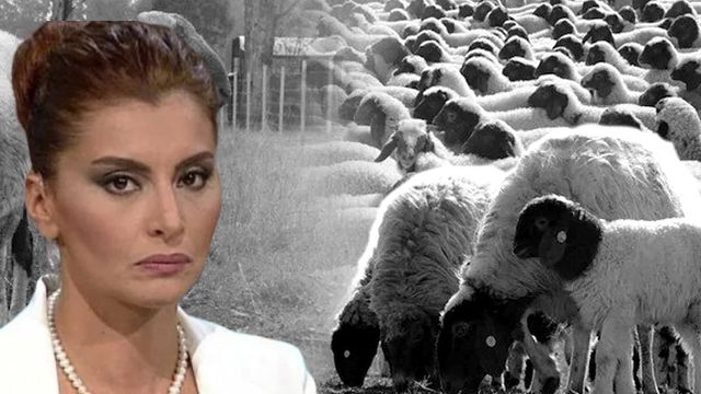 4169Ahmed's tweet photo. Hande Fırat’a hibeyi Millî Gazete duyurmuştu! Aradığımızda paylaşmadı
Türkiye kamuoyu gazeteci Hande Fırat Özvardar’a Tarım Bakanlığı'nın 3.5 milyon lira hibe desteği verecek olmasını Milli Gazete’den öğrendi. Gazeteci Sadettin İnan’dan Hande Fırat’a zor sorular... https://t.co/sK36PHvB0C