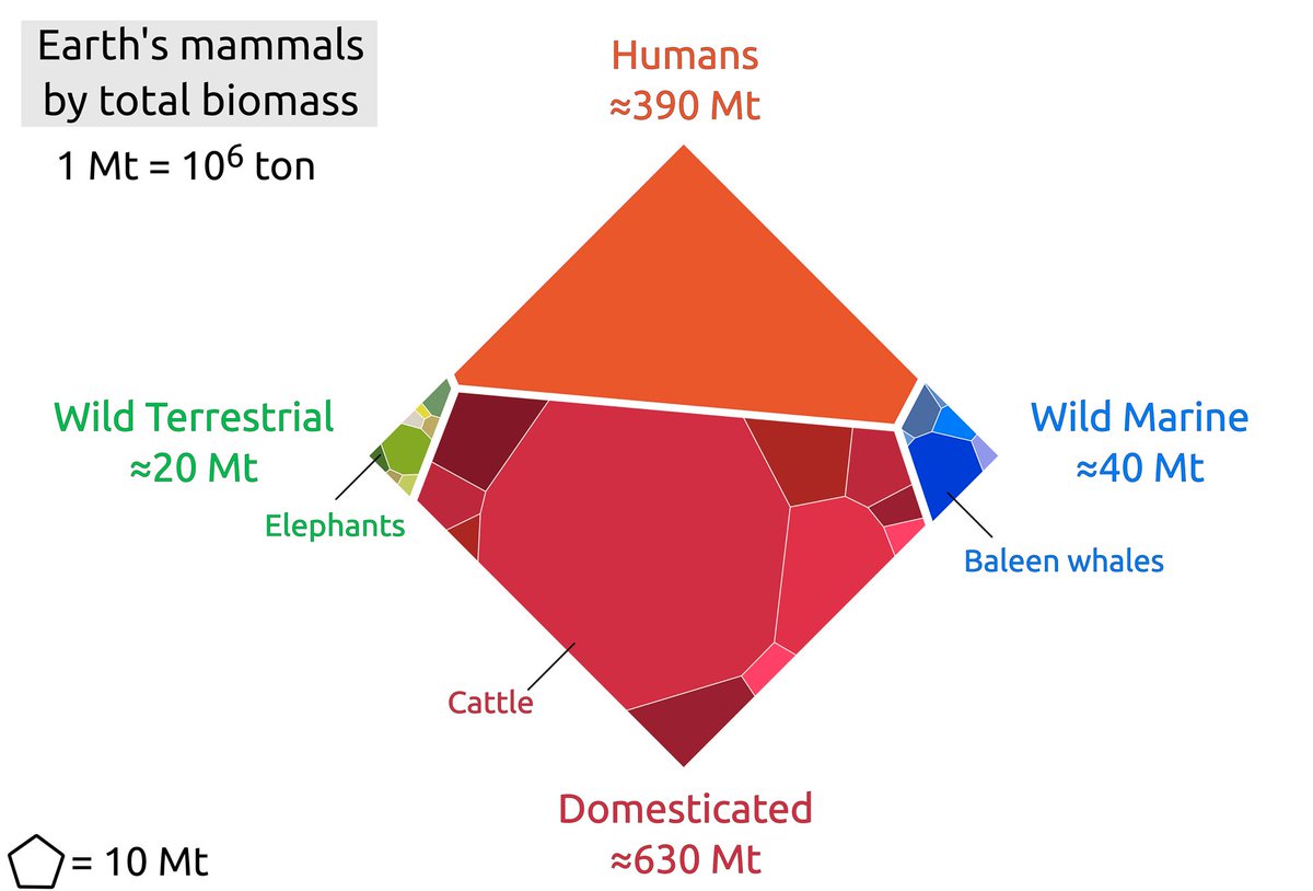 MMergenthaler's tweet photo. "Biomasse von Säugetieren auf der Erde: 
wildlebend an Land  ≈ 20 Mio. t
wildlebend im Meer  ≈ 40 Mio. t
Nutztiere ≈ 630 Mio. t
Menschen ≈ 390 Mio. t." https://t.co/kcMKzXbQjA https://t.co/ktx8xFYmGs