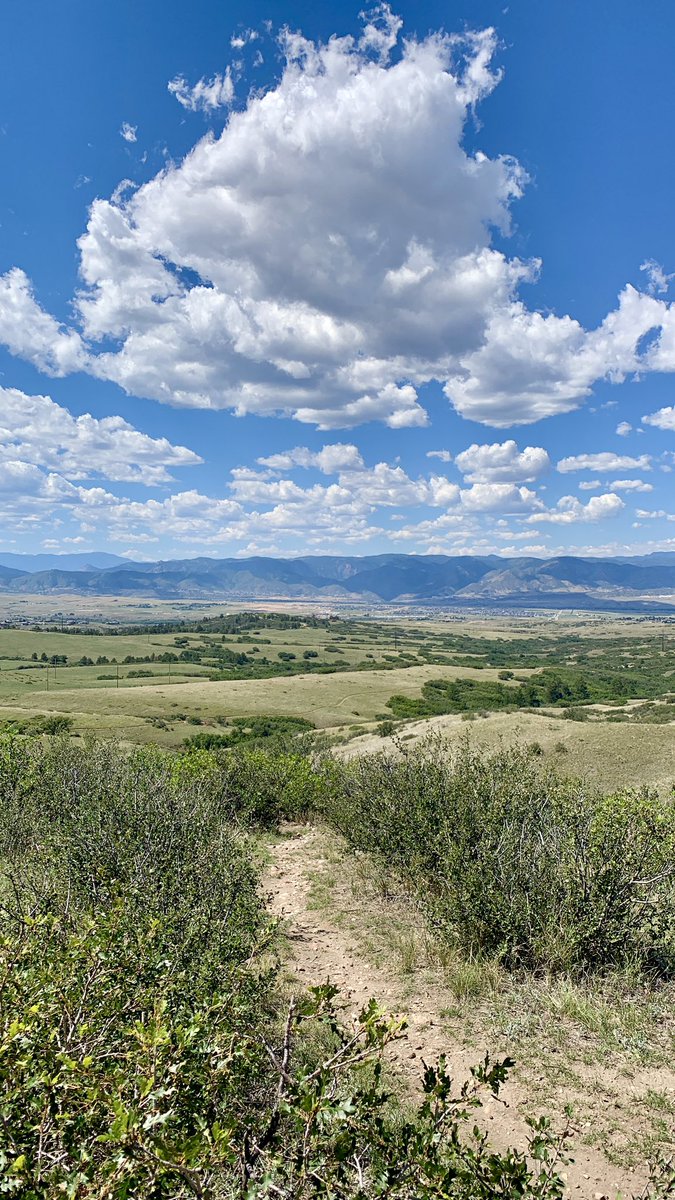 RealBHonest's tweet photo. All this land to Onewheel but no onewheel to onewheel it on 😂
Day 29 of me tagging y’all until y’all hook me up with a land surfer 🌊
@RideOnewheel https://t.co/lCvrBgrH1t