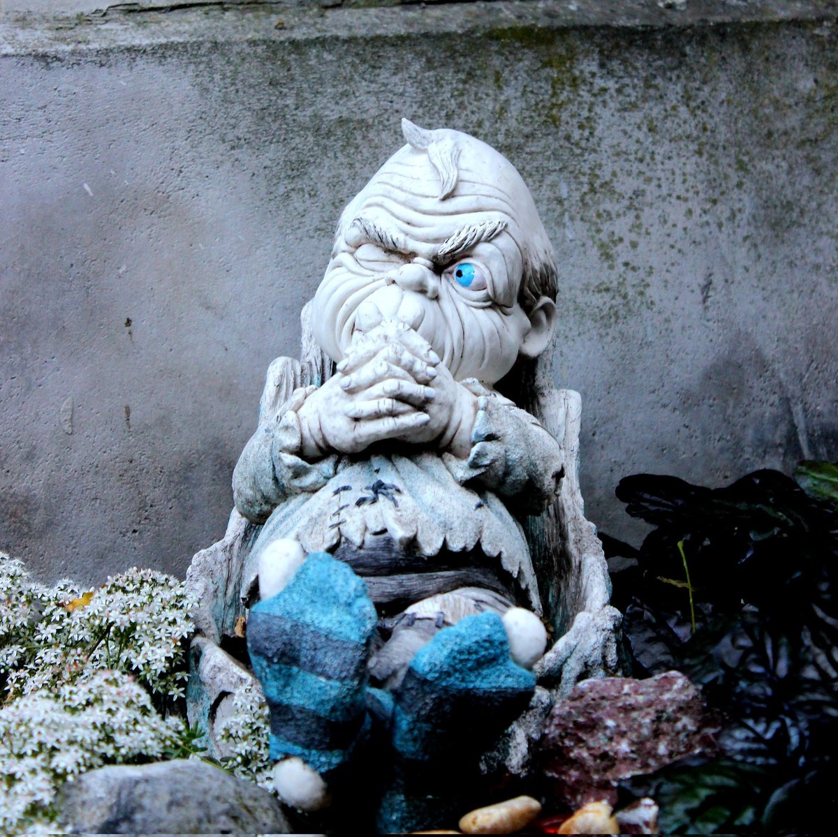 jolandabrwr's tweet photo. #Goedenavond
Wat was dit een beeldig thema. Er kwam zoveel variatie en vooral inspiratie #inbeeld
Dank je wel allemaal
Morgen nog 1 dag knallen bij #camer_a_pril
Verheug me er op!
Voor nu nog een goede nacht gewenst en tot morgen!π https://t.co/UboL8qZI2p