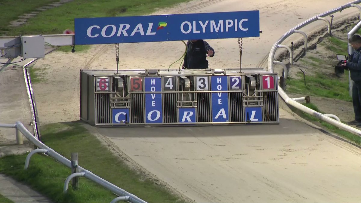 RPGreyhounds's tweet photo. 𝗖𝗼𝗿𝗮𝗹 𝗕𝗿𝗶𝗴𝗵𝘁𝗼𝗻 𝗕𝗲𝗹𝗹𝗲 𝗙𝗶𝗻𝗮𝗹

🥇 T4 Betsys Bullet
🥈 T1 Lively Lauren
🥉 T3 Whats Up Eva

⏱ 30.29sec

🏟 @HoveGreyhounds
🤝 @Coral

𝗪𝗮𝘁𝗰𝗵 𝗥𝗣𝗚𝗧𝗩 ➡️ https://t.co/Gv627HZycN

🔞 18+ | https://t.co/Wxnsr1iM1A https://t.co/HgVO1HwzsY