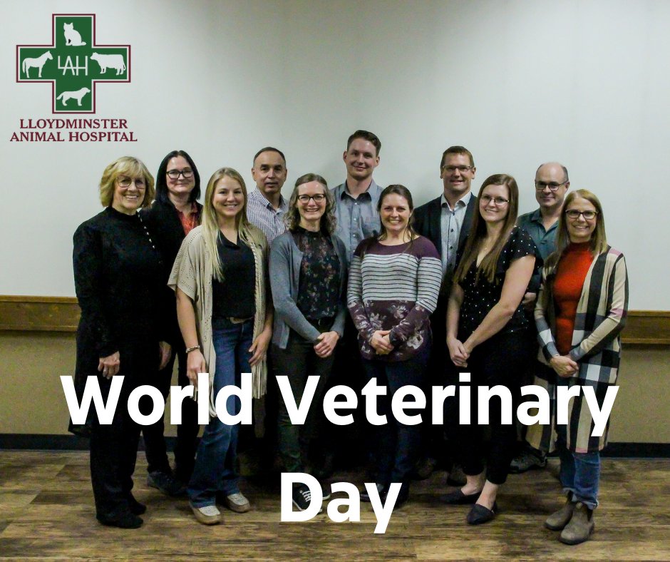 We are proud to have such an amazing team of Veterinarians here at the Lloydminster Animal Hospital!  Happy World Veterinary Day!