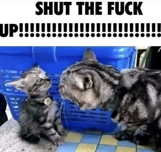 MILITHEVIRGEN's tweet image. “remember you last year” #IWASWEIRD