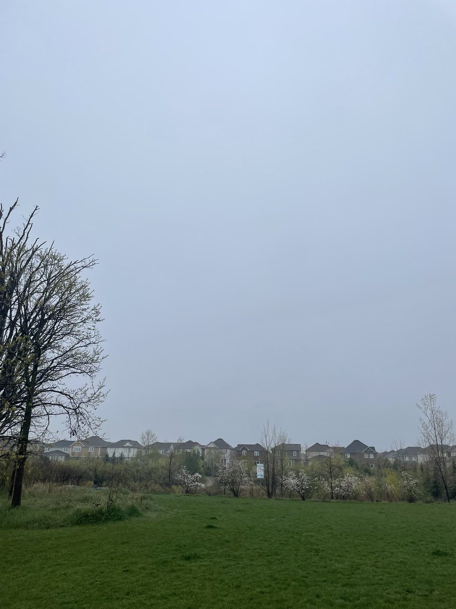 daneyuhl's tweet photo. soft rain is such an underrated weather https://t.co/6Exuv0JOPP