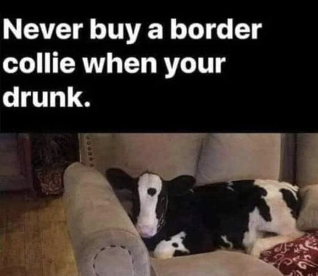 Gary Phelps (@garya_phelps) on Twitter photo 