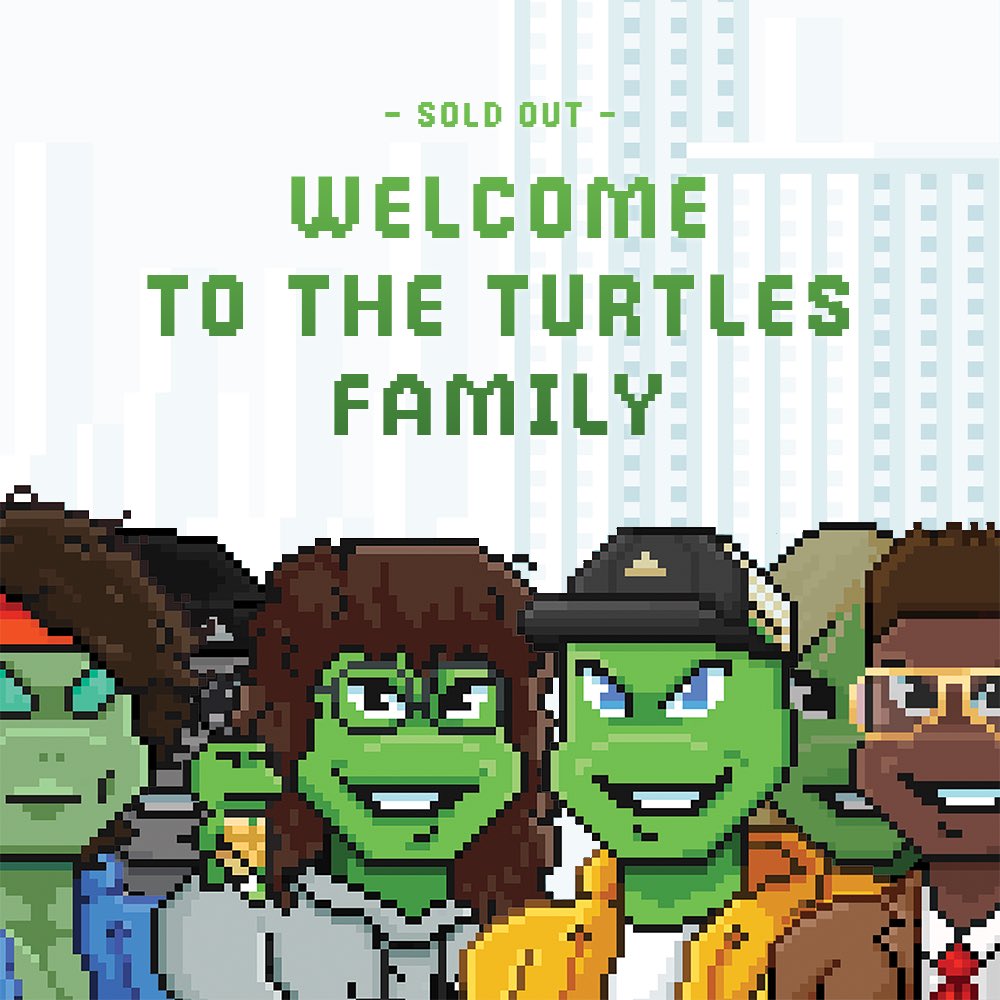 Turtles 🔼🐢 tweet media