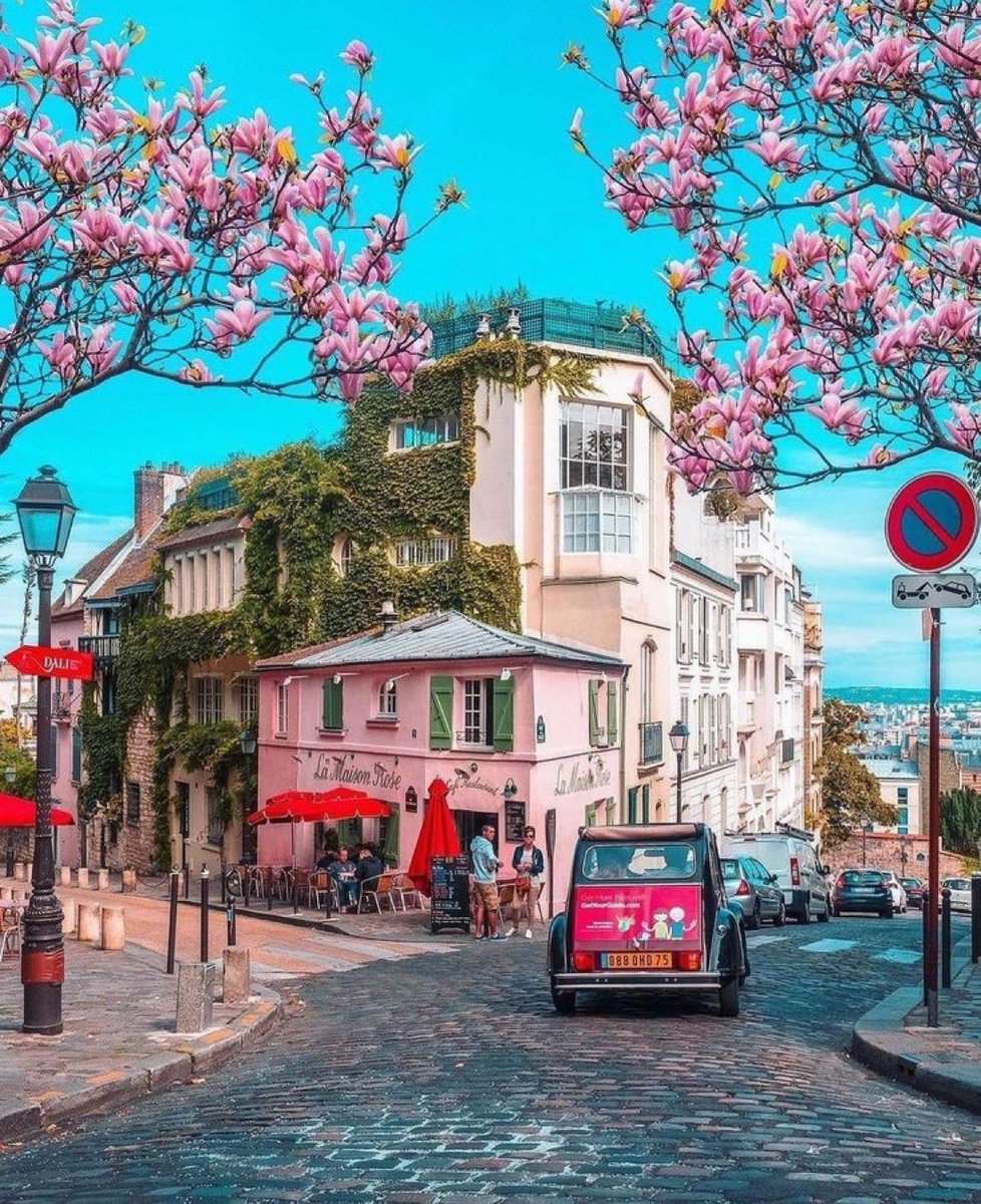 the7AMProject's tweet image. The #7AM Project. #MonteMarte