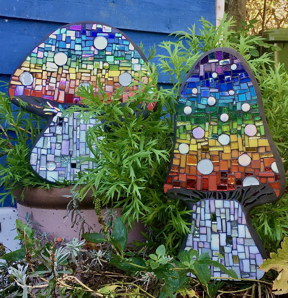 RockDoveArt's tweet photo. Magical Mushrooms!

Crafted by hand, custom made for you, in a range of shapes, sizes and colours.

https://t.co/bHWYYBeQmK

#UKGiftAM #giftidea ##BankHolidayWeekend #etsyshop #gardening #loveyourgarden #GardenersWorld #CraftBizParty #HandmadeHour #CraftersHour https://t.co/3lps61Yl3L
