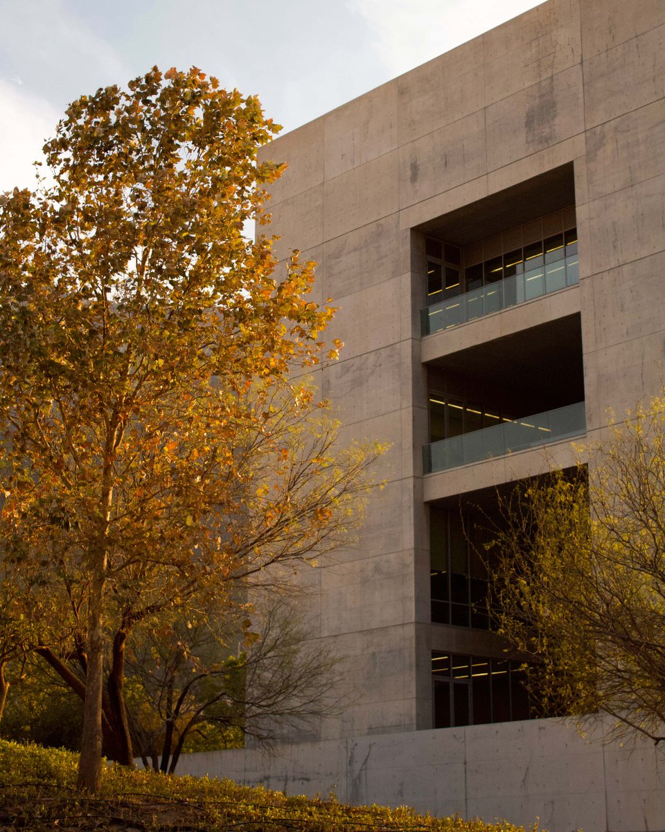 📸 Golden hour en la UDEM ✨ por Paola Rodríguez Cantú de LMEC (Lic. en Mercadotecnia y Estrategia Creativa) 4° semestre 

#InspirandoTuMejorVersión