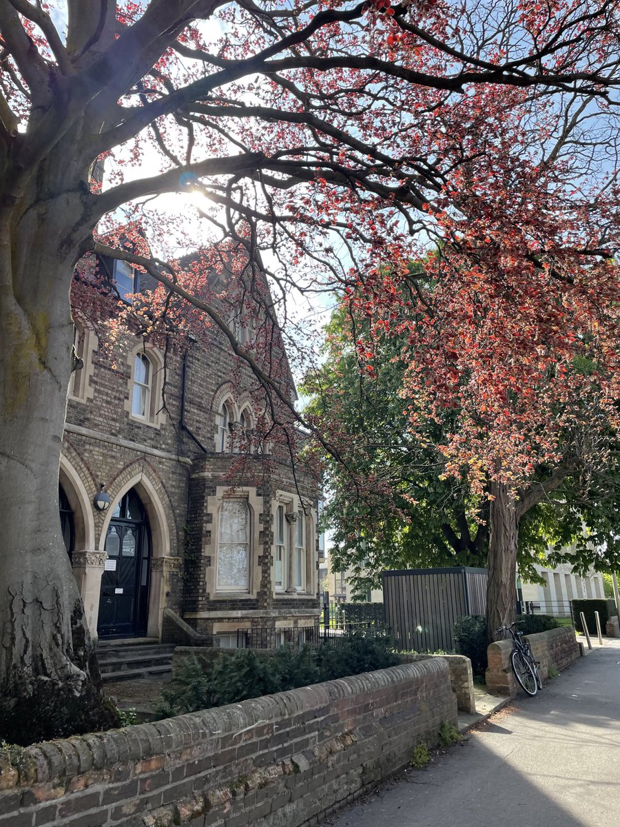 EChrisDee's tweet photo. Paradise for us nerds 🤓 ⁦@UniofOxford ⁦@OUPMedicine⁩ https://t.co/lNYcAWTA6i