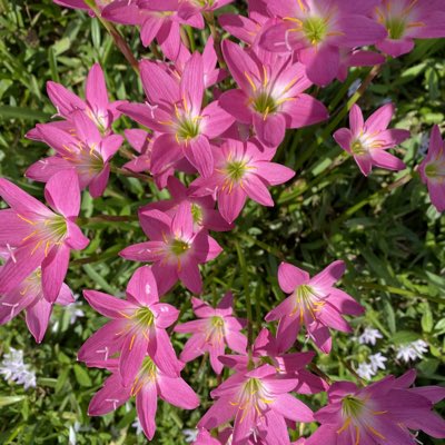 TMakayah's tweet photo. #NewProfilePic https://t.co/ZtBuebhncs