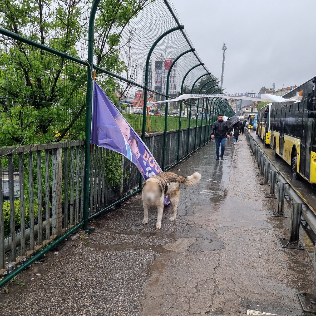 Solcu Gazete tweet media