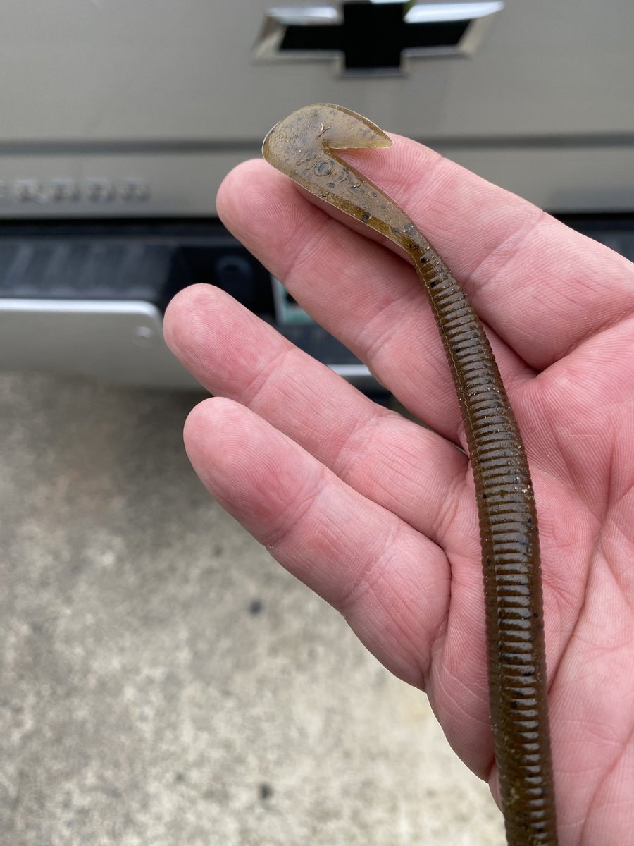 FishKayaker's tweet photo. Did a little catching today with the #zoom #speedworm https://t.co/LvIY9pkahL