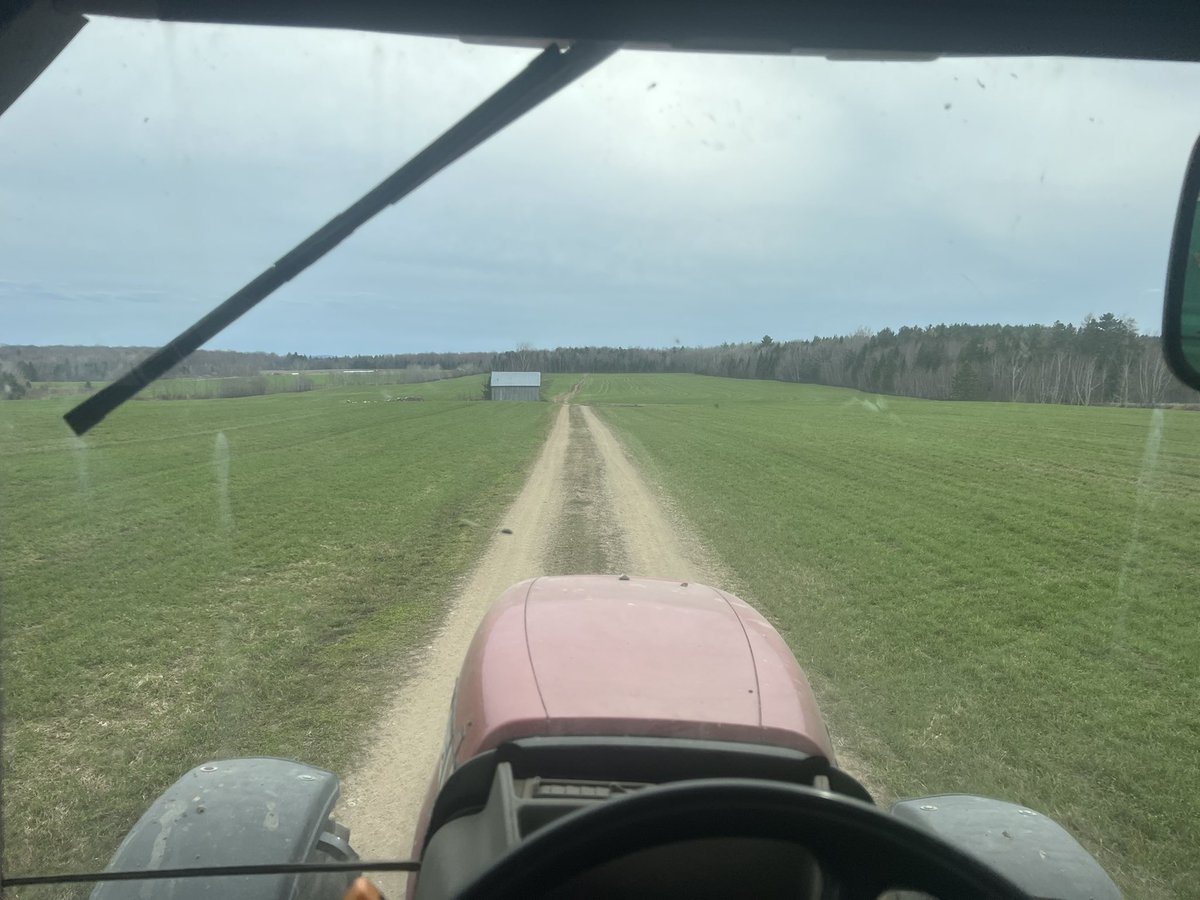 Dernier voyage de lisier. Toutes les prairies terminées. Juste avant la pluie.

Conditions exceptionnelles.

Du foin qui bat au vent en avril, très prometteur.