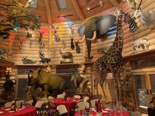 AMAZ1NG_NATURE's tweet photo. According to @RickyGervais, the collective name for trophy hunters is 'CUNTERS'!!

RT if you agree.

Ban #TrophyHunting NOW!!! https://t.co/1V8e83tAgt