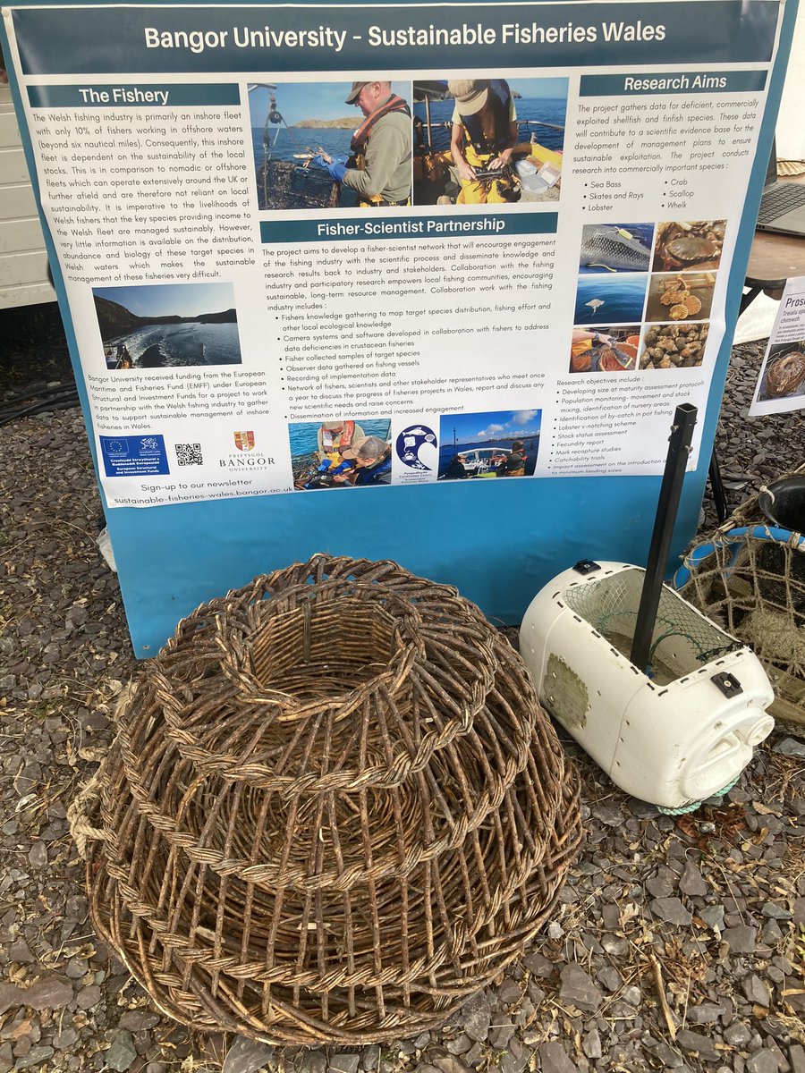 A wonderful days work at @seasofchange_BU spring feast today! Sharing info about our projects @fisheriesbangor and promoting local sustainable seafood @TheMenaiSeafood Thank you everyone for attending! 🦞🦀🐚 #smallscalefisheries #NorthWales