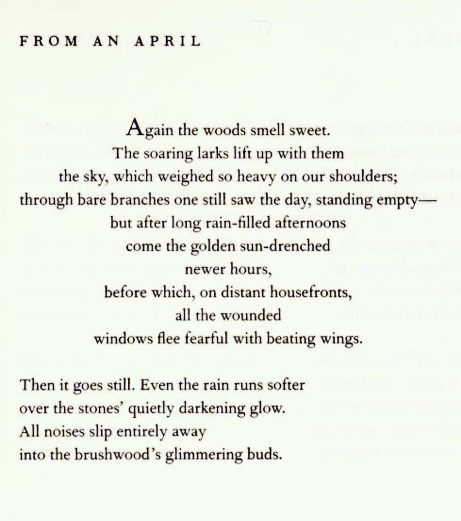 Rainer Maria Rilke 🌿