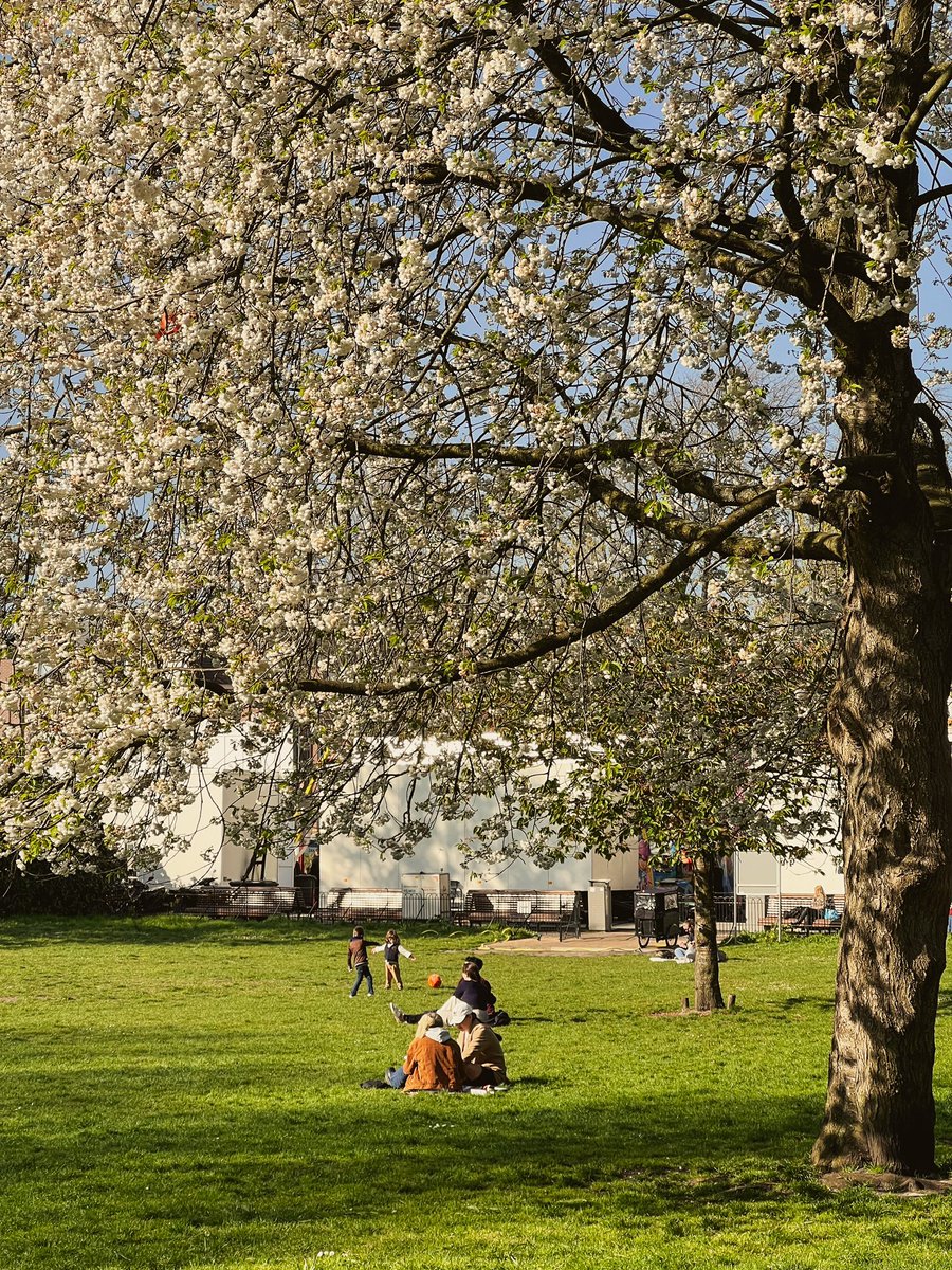 Rondje gewandeld vandaag in het prachtige Den Haag 💚💛