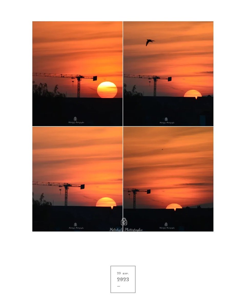 melounantho's tweet photo. 📸-Coucher de soleil
#photography #photooftheday #photograph #photo #photographer #Nikon #nikonphotography #nature https://t.co/DyCHDw7ez2