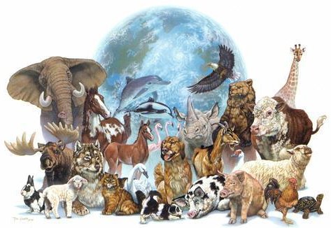 EUDS_Elefantes's tweet photo. Como sociedad debemos trabajar juntos, para crear un mundo en el que los derechos de los animales sean respetados y protegidos de manera efectiva.
#DiaDelAnimal
#leysintientes #leyKshamenk #stopzoos #stopacuarios #BastadeTAS #Stopcazaconperros #noalacaza #stopgalgueros https://t.co/5BeW8C6Lxn