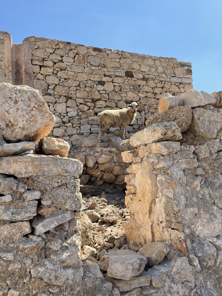 BeyondBex's tweet image. Deserted Alimia Island, in the #Aegean between #Rhodes and #Halki. 
Just goats 🐐, crumbling buildings and one man who looks after the church #solitudelife 
Look out for a suggested experience of it in the new @lonelyplanet #Greece guide, released in June’23