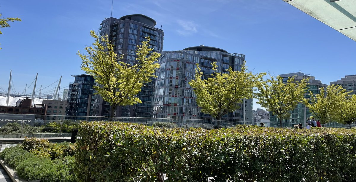 ExLibrisMrHunt's tweet image. Doing a little @VPL #LibraryTourism. Left the hotel, w/ water bottle (23° gorgeous day), decadent Faubourg treat, hanging out w/ a book on the 9th floor rooftop garden. Beautiful views, sounds like a bird sanctuary…#librarlife!