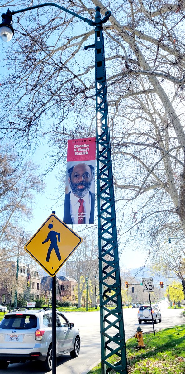 AdemuyiwaAromo1's tweet photo. Finally! A portrait of me @AdemuyiwaAromo1 is flying high on a busy street in Salt Lake City. A celebration of SUCCESS that is almost MAGICAL. (1/2) https://t.co/wjvTWQXqBa