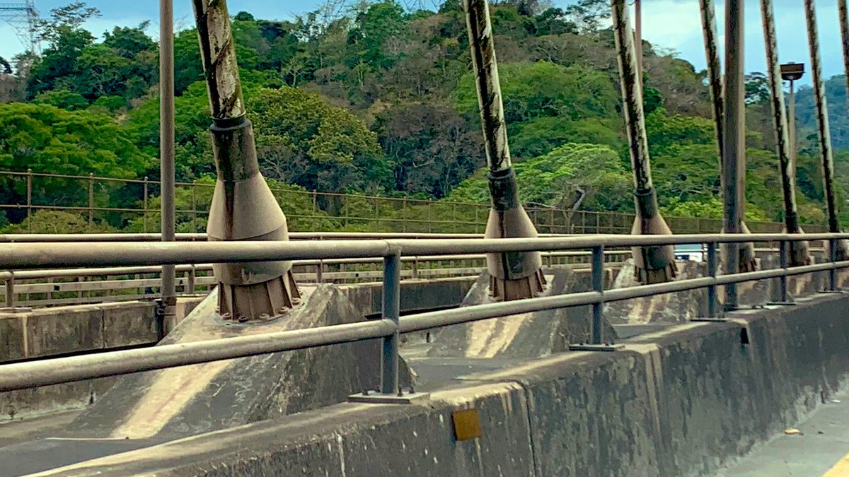 A ver si alguien en este gobierno se ocurre sacar una licitación para limpiar esta mugre del puente Centenario.