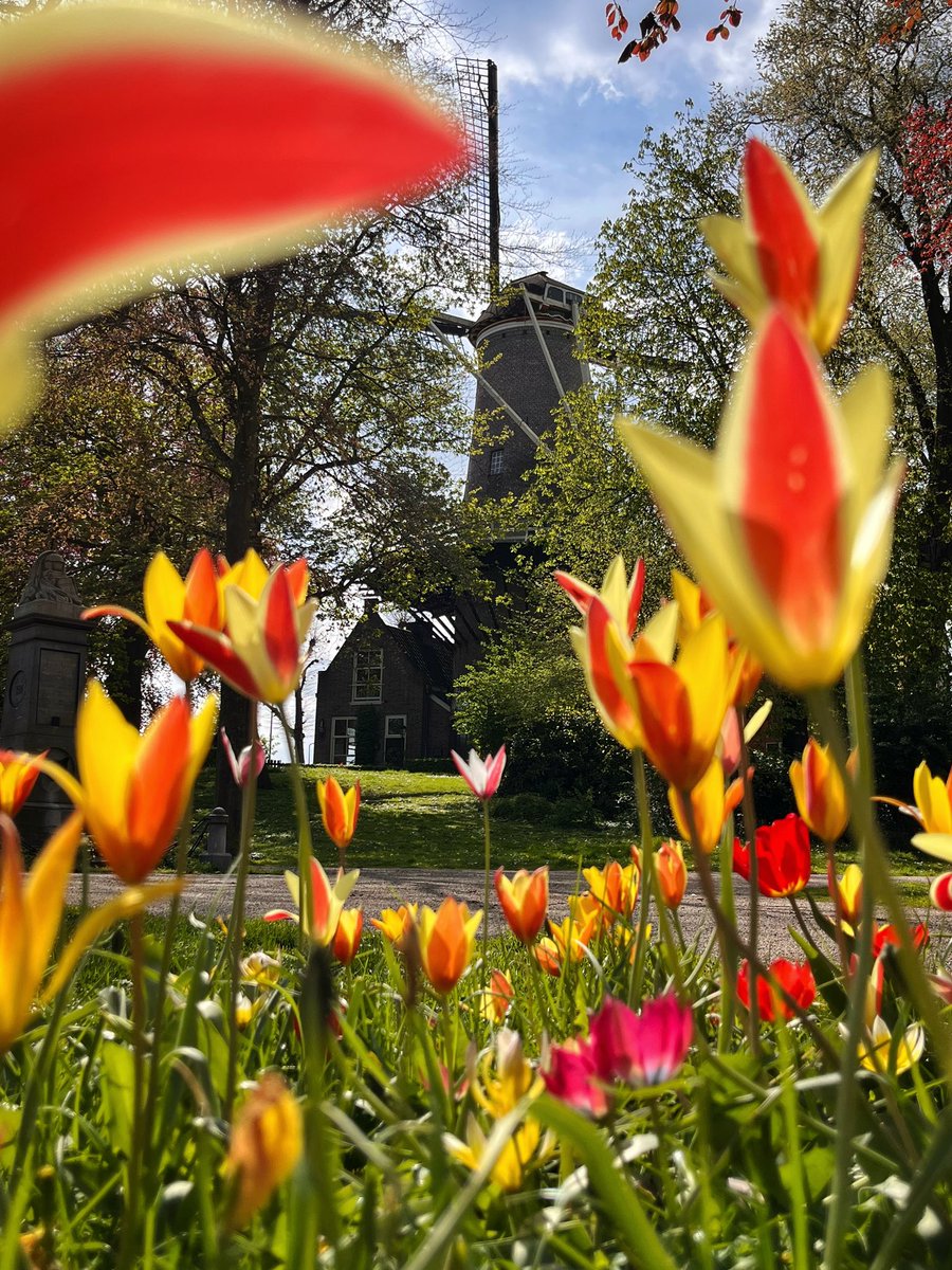 huykman's tweet photo. Lente in #Gouda https://t.co/11UC0Jr0YW