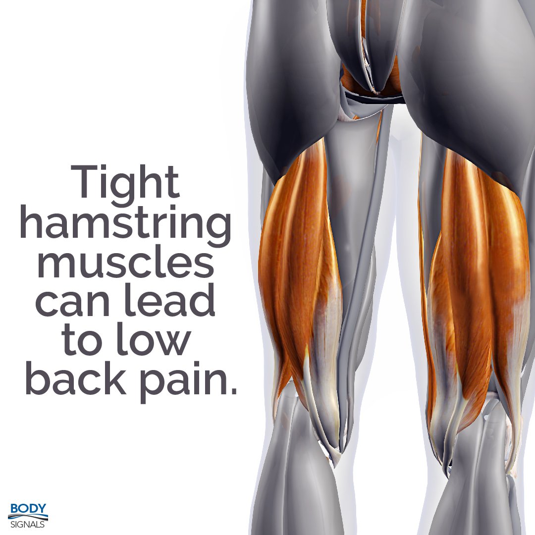 taborsmith's tweet photo. Bulletproof Your Low Back Workshop registration link: https://t.co/3oxHbHfkOF
#purelifechiropractic #purelifefamilywellness #betterthandrugs #chiropractor #chiropractic #getadjusted #chiropracticadjustment #spinehealth #spine #chiropractortiktok #spinalhygiene https://t.co/GvVDVEM3PD