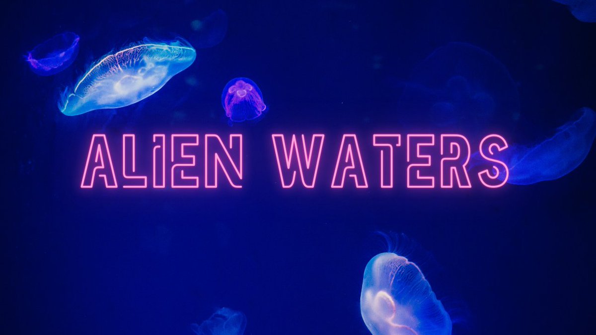 New song: youtu.be/LiN8ttLfh1g