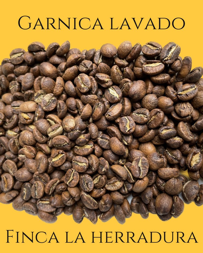 CafePranay's tweet photo. Encuentra en nuestra tienda en línea

Link en Bio https://t.co/43AQdMZ11c
