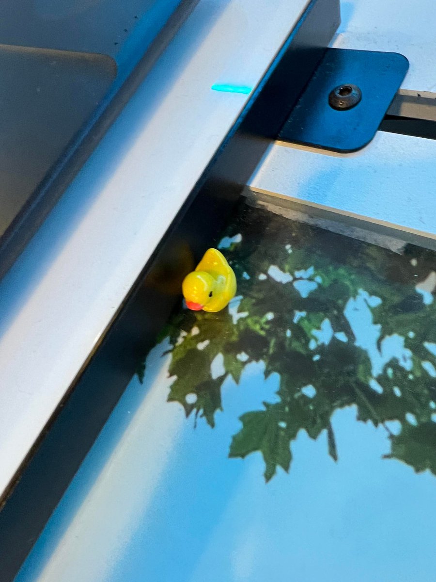 anthonydomonick's tweet photo. So CSide has a Duck Infestation. I have no idea where they're coming from and no one is admitting to placing them on the floor. I think I might be going crazy π€£ #One_Fla @NicoleKHinojosa @theeastregion @LifeAtATT https://t.co/AXAHixzQXn