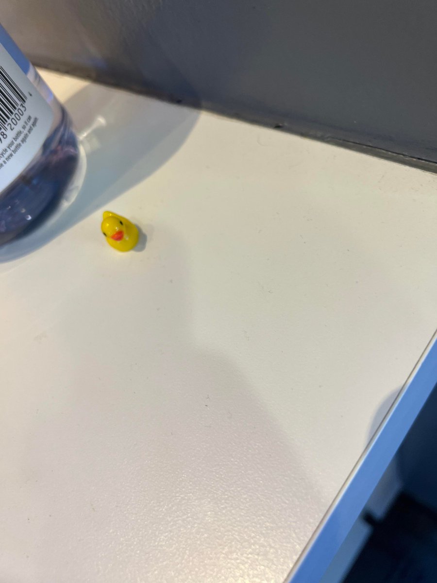 anthonydomonick's tweet photo. So CSide has a Duck Infestation. I have no idea where they're coming from and no one is admitting to placing them on the floor. I think I might be going crazy π€£ #One_Fla @NicoleKHinojosa @theeastregion @LifeAtATT https://t.co/AXAHixzQXn