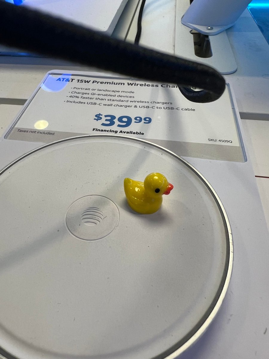 anthonydomonick's tweet photo. So CSide has a Duck Infestation. I have no idea where they're coming from and no one is admitting to placing them on the floor. I think I might be going crazy π€£ #One_Fla @NicoleKHinojosa @theeastregion @LifeAtATT https://t.co/AXAHixzQXn