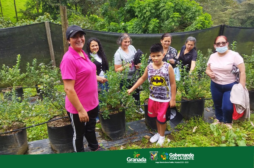 AlGranadaCund's tweet photo. #AgropecuarioGranadaCund 🤝🔝|| Escuela de campo en el cultivo de arándanos 👩🏻‍🌾🌱 https://t.co/GrUaMZjJzi