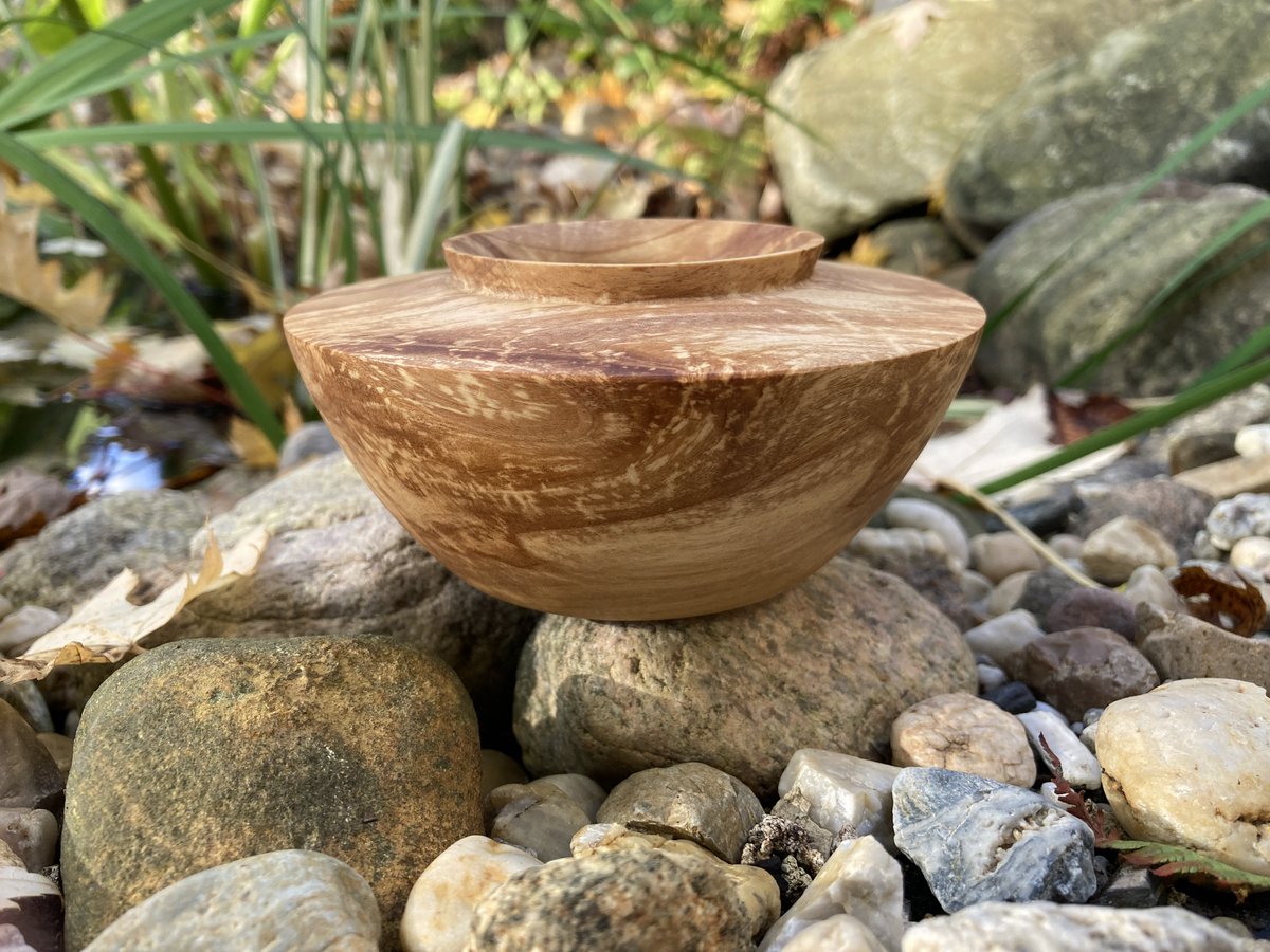 BergwerkD's tweet photo. small vase made of spalted maple with a linseed finish

diameter: 4,9inch
high: 2,1inch

#wood #woodworking #woodwork #woodworker #woodart #wooddesign #woodlathework #woodlatheworker #holz #holzdeko #holzdesign #drechseln #drechsler #hamburg #germany https://t.co/SuxmyijFIZ