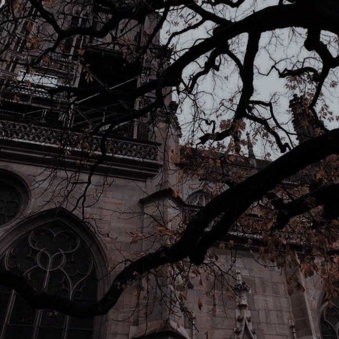 CAFETERÍA DE FILOSOFÍA Y LETRAS. tweet media