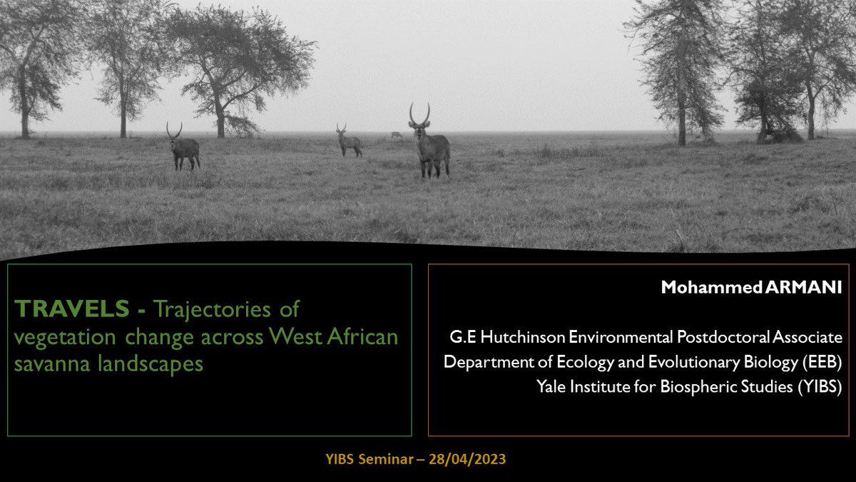 tm2side's tweet photo. Very happy to give the last @YaleBiosphere seminar for this academic year. I presented current perspectives on the vegetation of West Africa. 

See presentation here: https://t.co/LSGwoW6YiJ https://t.co/yBlXG8DoCG