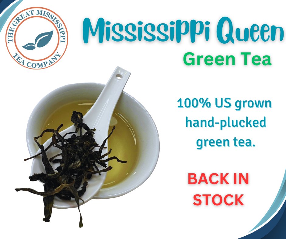 GreatMSTea's tweet photo. We know many of you have been waiting for this! Mississippi Queen Green tea is now back in stock. This is our first pluck of the season and for a great Green tea. 100% US grown with no pesticides or fungicides.
Shop: https://t.co/4DLd1x9Mb4
#FarmToTable #USAGrown #GreenTea #Tea https://t.co/gxUrJiBpUQ