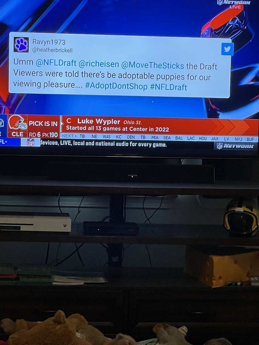 Ravyn1973 tweet media