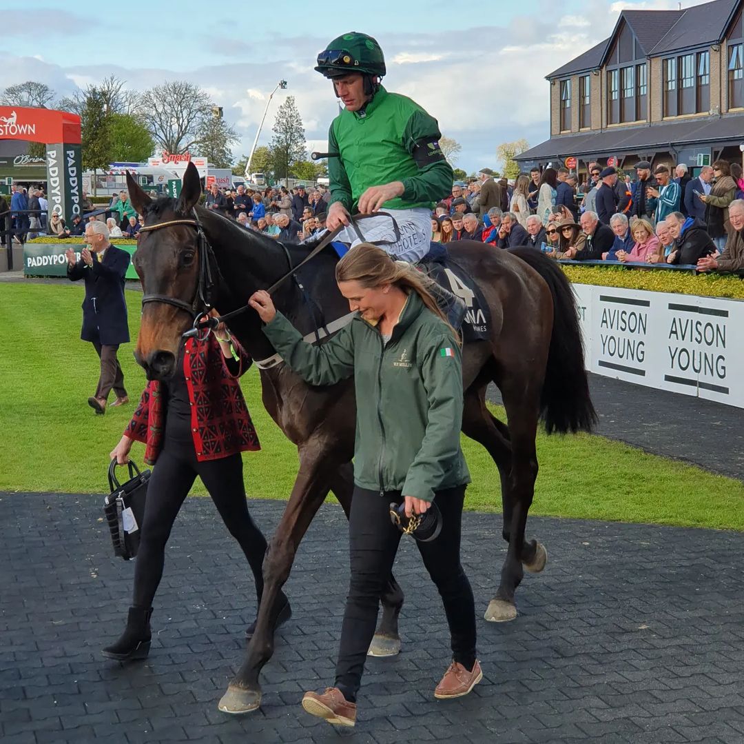 baraddur's tweet photo. The Alanna Homes Champion Novice Hurdle: Impaire et Passe &amp; Paul Townend https://t.co/7rJwenjx1T