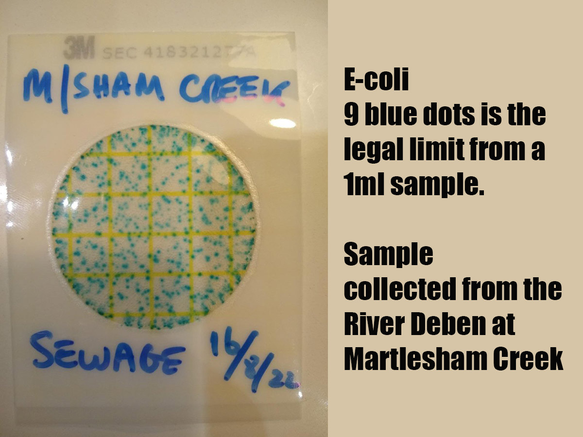 Suffolk Broad 🇪🇺🇵🇱🇬🇧 tweet media