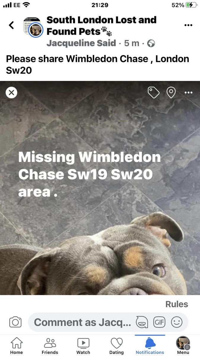 Help me get home #wimbledonchase #Raynespark #Sw20 @MPSWandsworth @MPSMerton #stolen #CRN 1405151/23 @juliagarland73 @MPSRaynesPark @MissingPetsGB @rosieDoc2 @metpoliceuk facebook.com/groups/1066822…